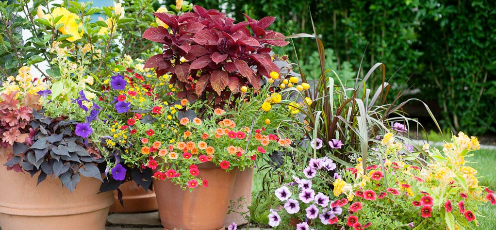 Working Earth Window Boxes and containers